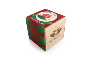 Cube en bois avec kit de plantation personnalisable