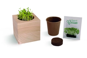 Cube en bois avec kit de plantation personnalisable