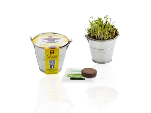 Kit de plantation avec pot en zinc - Diamètre 7 cm personnalisable