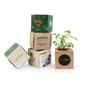 Cube en bois avec kit de plantation personnalisable