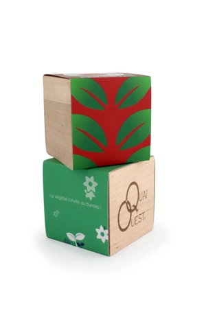 Cube en bois avec kit de plantation personnalisable