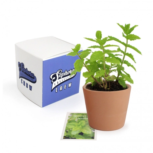 image du produit Cube de plantation avec pot céramique 7 cm - kits semis