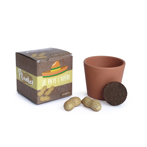 image du produit Cube de plantation avec pot céramique 7 cm - kits semis