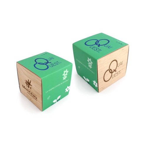 image du produit Cube en bois avec kit de plantation