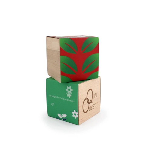 image du produit Cube en bois avec kit de plantation