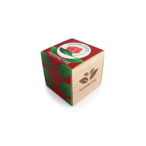 image du produit Cube en bois avec kit de plantation