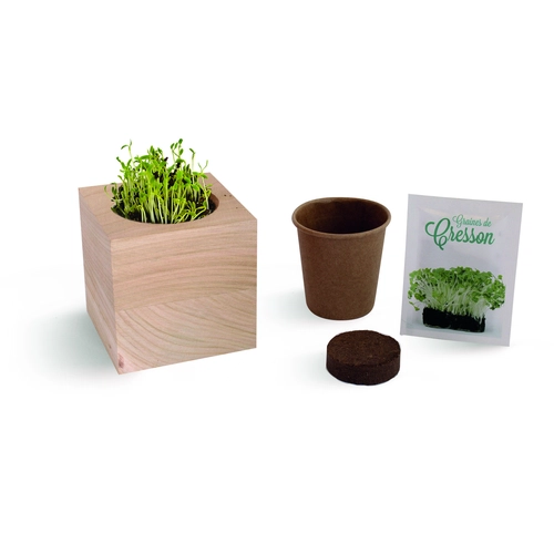 image du produit Cube en bois avec kit de plantation