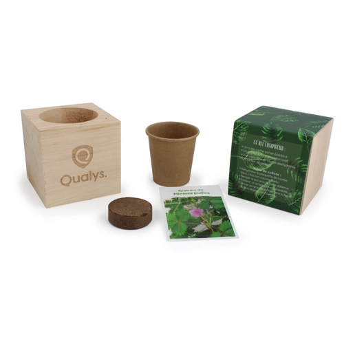 image du produit Cube en bois avec kit de plantation