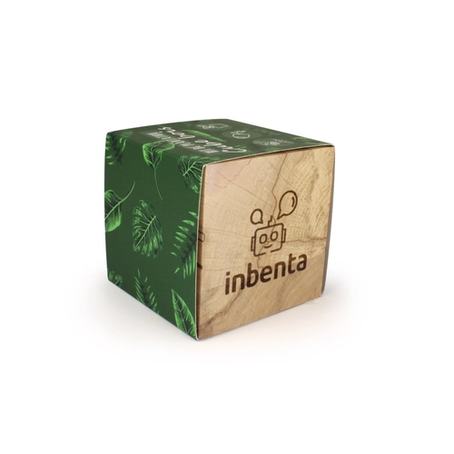 image du produit Cube en bois avec kit de plantation