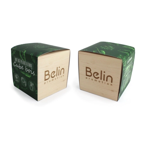 image du produit Cube en bois avec kit de plantation