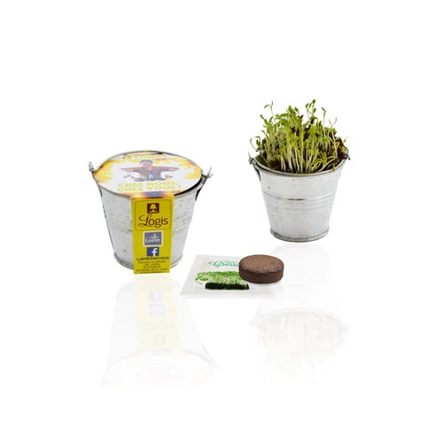 image du produit Kit de plantation avec pot en zinc - Diamètre 7 cm