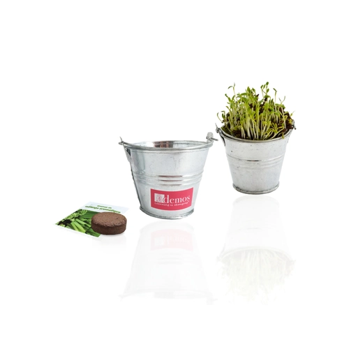 image du produit Kit de plantation avec pot en zinc - Diamètre 7 cm