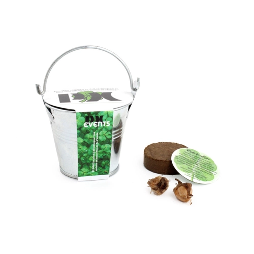 image du produit Kit de plantation avec pot en zinc - Diamètre 7 cm