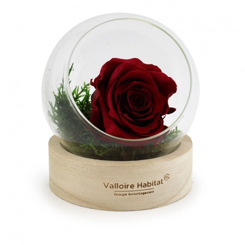 image du produit Rose éternelle en terrarium avec socle en bois