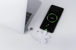 Câble éco multi-connecteur BUDDY personnalisable