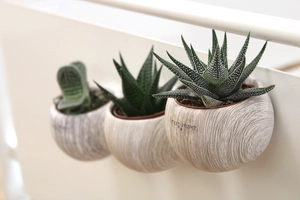Plante pot céramique aimanté effet bois personnalisable