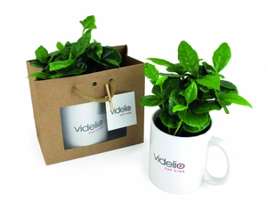 Plant de Caféier avec mug personnalisable personnalisable