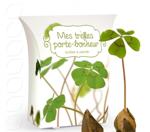 Boîte good luck avec bulbes de trèfle 4 feuilles personnalisable