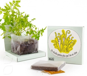 Kit de plantation carré coco box avec graines à semer personnalisable