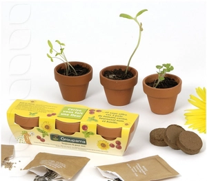 Kit de plantation trio de pots terre cuite, graines à semer personnalisable