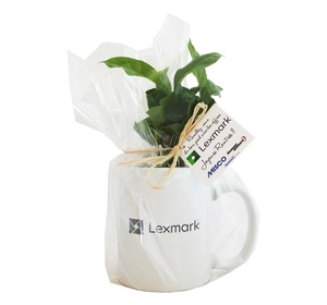 Plant de Caféier avec mug personnalisable personnalisable