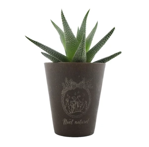 Plante Gob'lin fabriquée à partir de lin des flandres personnalisable