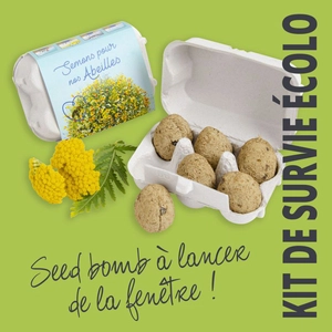 Boite à oeufs seed bomb personnalisable