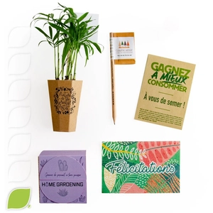 Box green au bureau, goodies utiles et écolos personnalisable