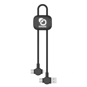 Câble court 18 cm à charge ultra-rapide 60W avec transfert de données personnalisable