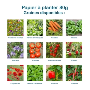 Calendrier A4 en papier de graines, 80g - 100g, 13 feuillets personnalisable