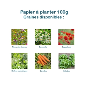 Calendrier A4 en papier de graines, 80g - 100g, 13 feuillets personnalisable