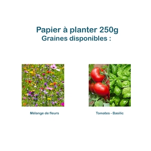 Carte en papier de graines 210x99mm - 250gr personnalisable