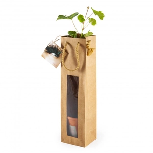 Cep de vigne en pot terre cuite avec sac kraft prestige brun personnalisable