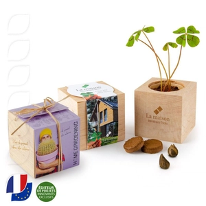 Ecocube en bois MADE IN France -  avec sachet de graines personnalisable