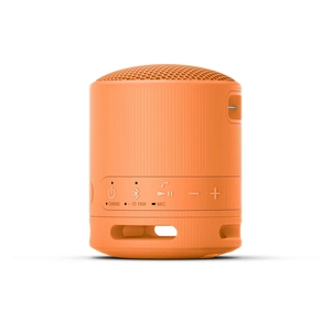 Enceinte Sony SRS-XB100 personnalisable - bluetooth personnalisable