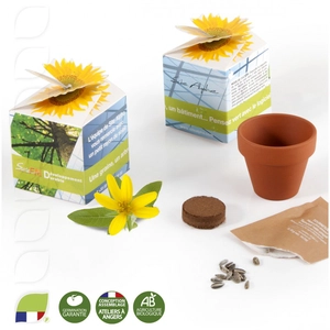 Kit de plantation boite cube avec graines personnalisable