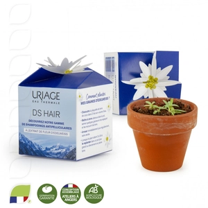 Kit de plantation boite cube avec graines personnalisable