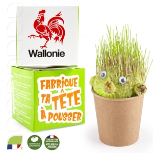 Kit de plantation DIY tête à pousser, pot en carton personnalisable