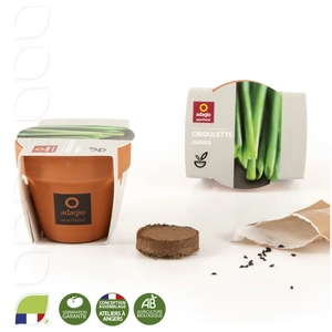 Kit de plantation en pot terre cuite avec graines personnalisable