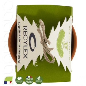 Kit de plantation replantons un arbre personnalisable