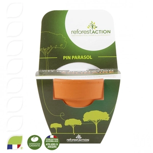 Kit de plantation terre cuite 70 mm avec graines à planter personnalisable