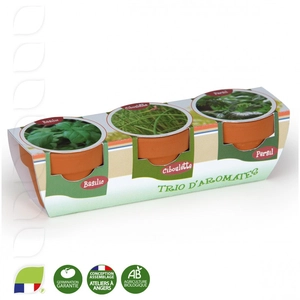 Kit de plantation trio de pots terre cuite, graines à semer personnalisable