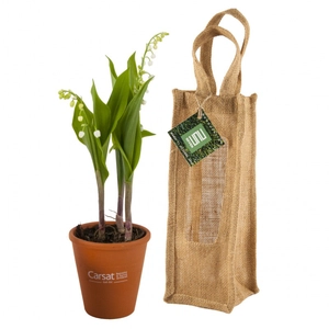 Muguet en pot personnalisable