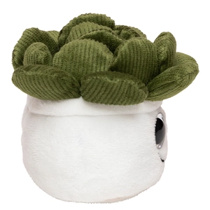 Peluche plante succulent en microfibre - convient aux enfants personnalisable