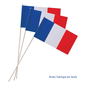 Petit drapeau France en papier glacé 150g/m2 personnalisable