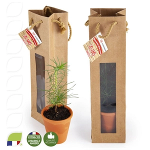 Petit plant de pin en pot terre et sac kraft brun personnalisable