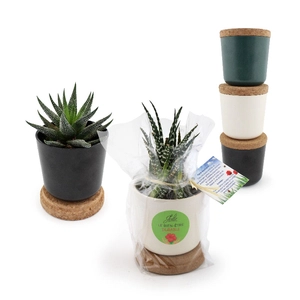 Plante en pot en bambou et soucoupe en liège personnalisable