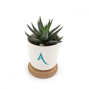 Plante en pot en bambou et soucoupe en liège personnalisable