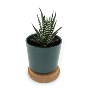 Plante en pot en bambou et soucoupe en liège personnalisable