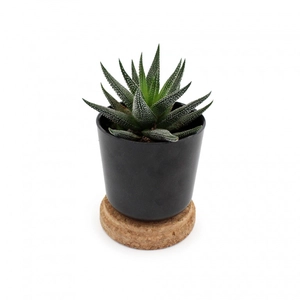 Plante en pot en bambou et soucoupe en liège personnalisable